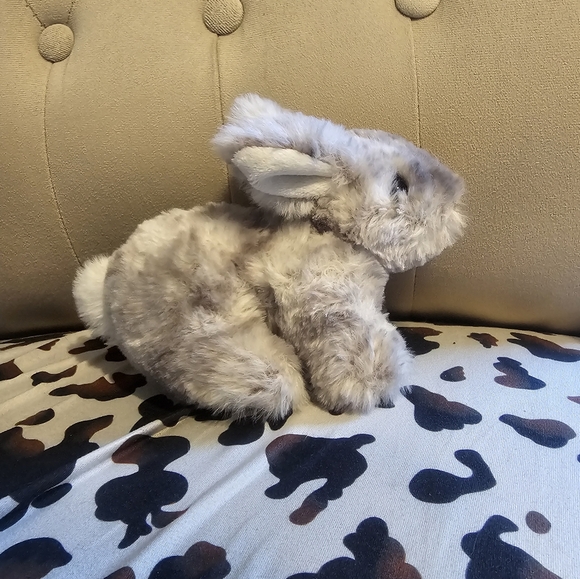 Douglas Grey Rabbit - Picture 4 of 5